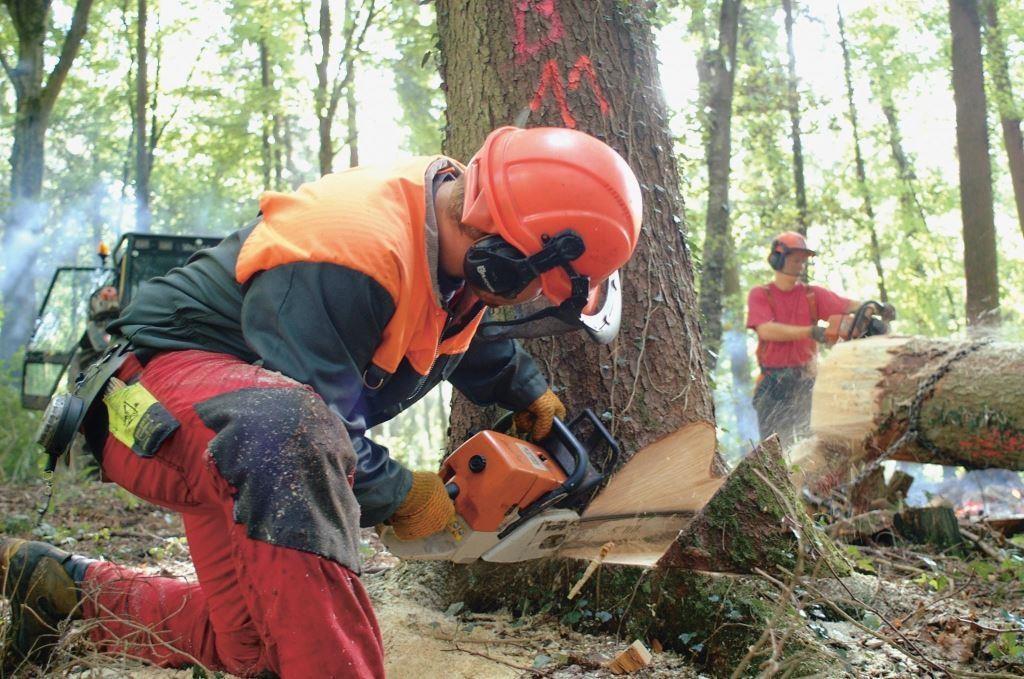 Guide chaîne tronçonneuse pour grappins forestiers - bois de chauffage